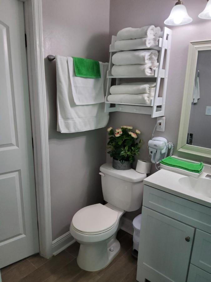 Beautiful Apartment Close To Everything 탬파 외부 사진