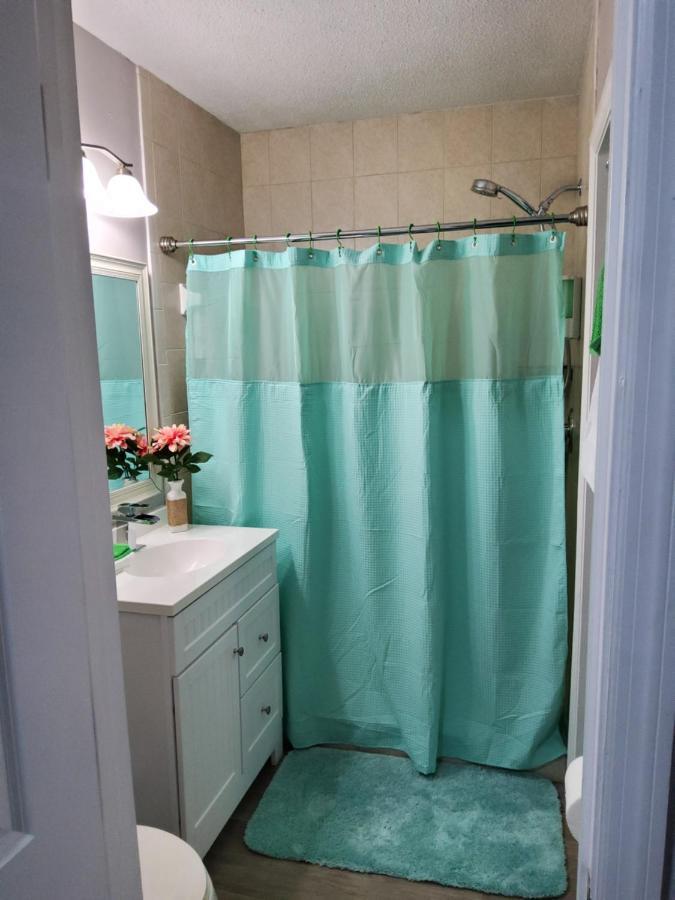 Beautiful Apartment Close To Everything 탬파 외부 사진