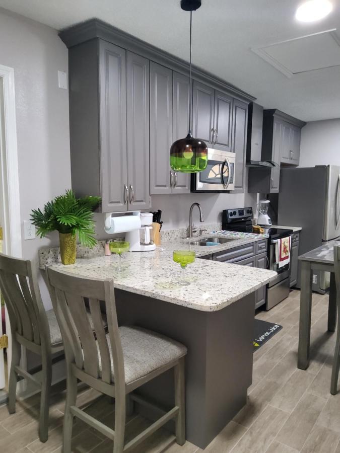 Beautiful Apartment Close To Everything 탬파 외부 사진