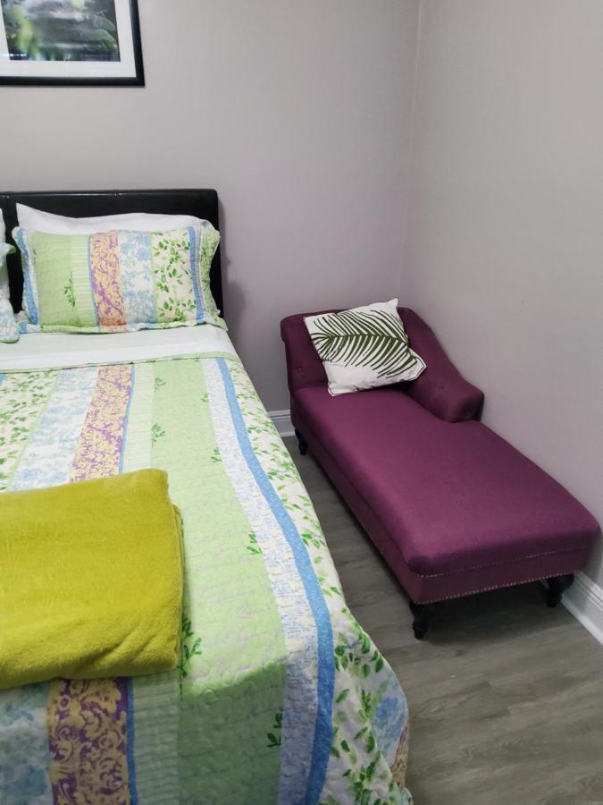 Beautiful Apartment Close To Everything 탬파 외부 사진
