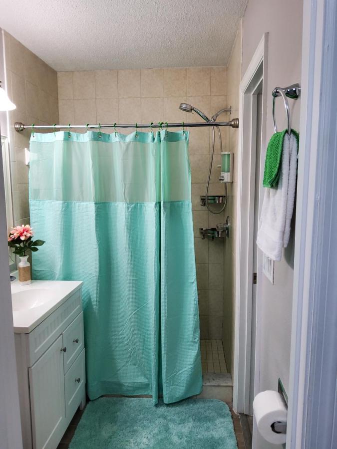 Beautiful Apartment Close To Everything 탬파 외부 사진