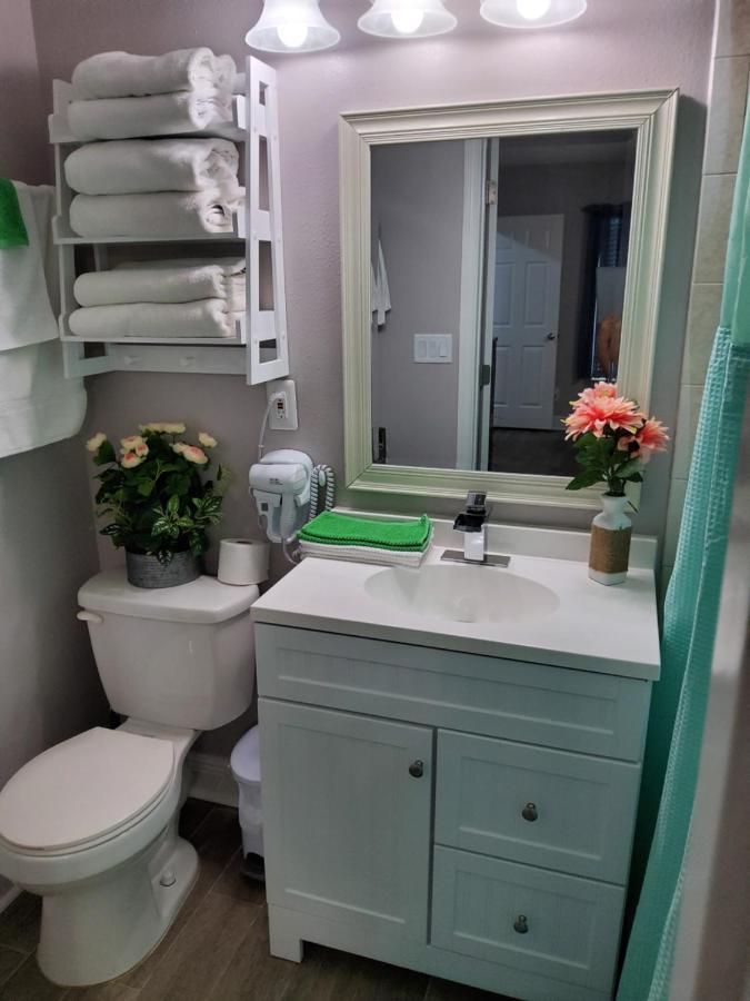 Beautiful Apartment Close To Everything 탬파 외부 사진