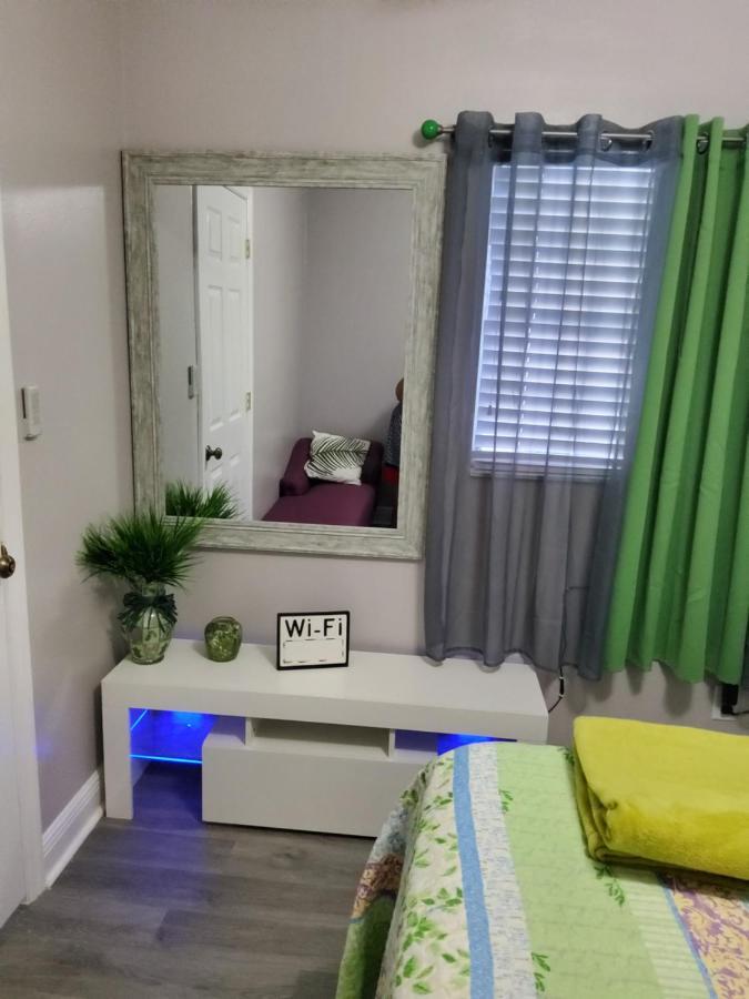 Beautiful Apartment Close To Everything 탬파 외부 사진